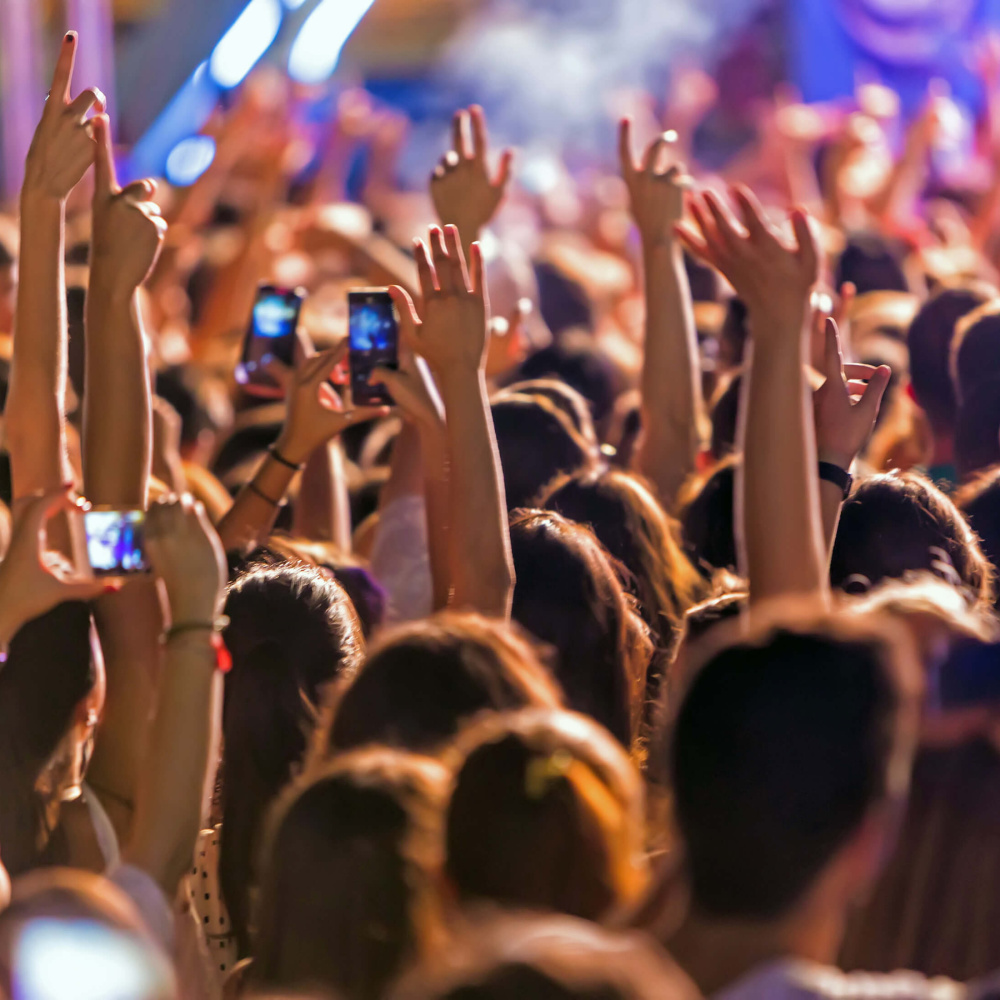 feiernde Menschenmenge bei einem Konzert